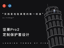 Torre di Pisa—坚果Pro2保护套设计