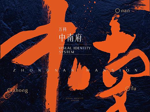 万科中南府-提报视觉