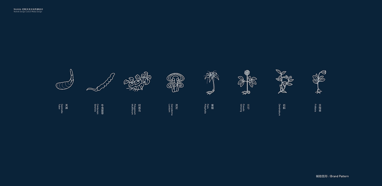 曲焕章品牌全案 中医药行业 包装 品牌（图ZMTUxNjAxNzQw） - 品牌 - 站酷设计师NisVolk尼斯沃克原创素材 - 站酷ZCOOL