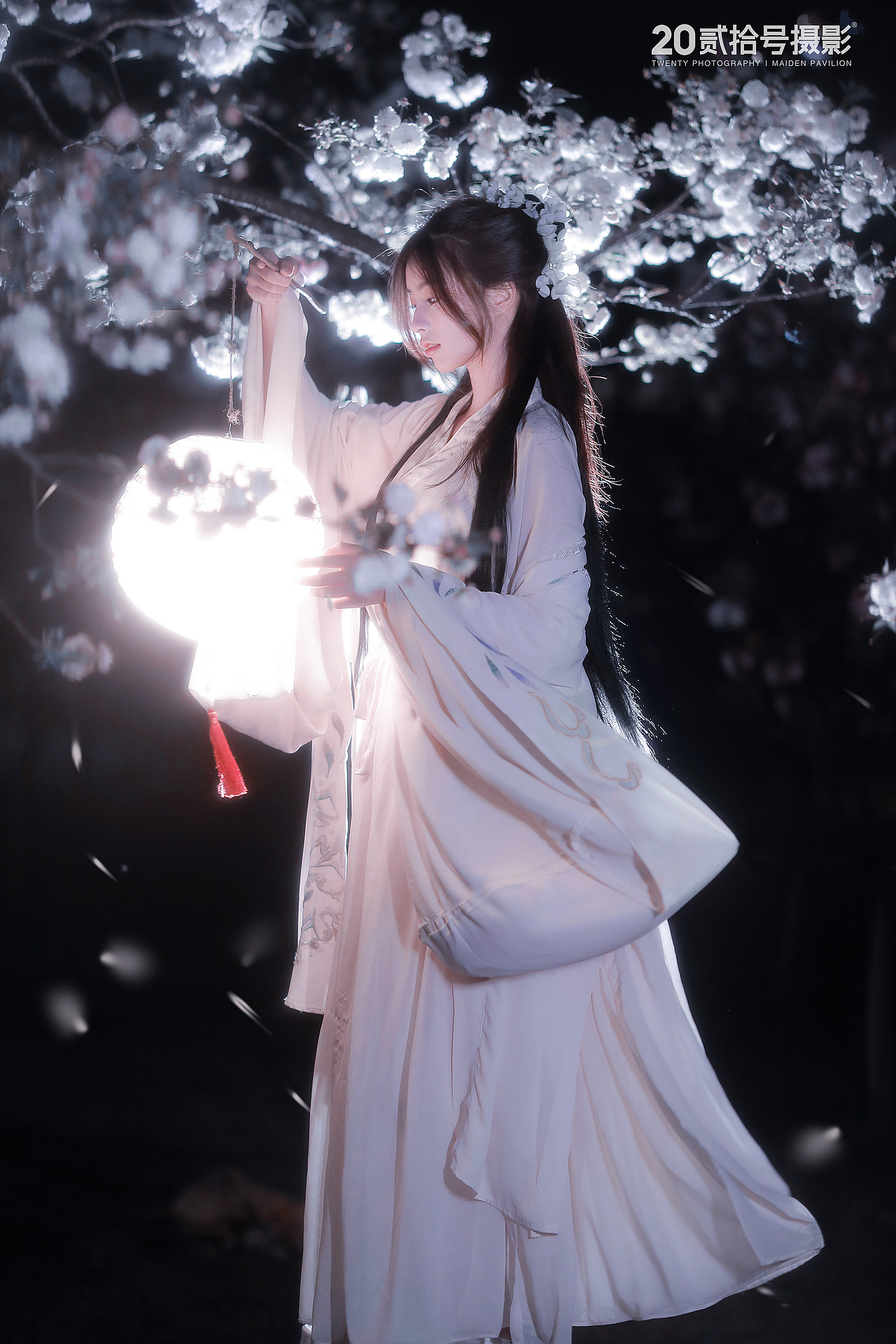 夜樱（图ZMjk1MzMyOTI0） - 人像摄影 - 站酷设计师贰拾号摄影原创素材 - 站酷ZCOOL