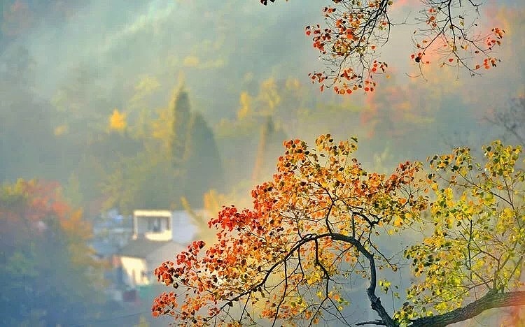 家乡的秋天（图ZMTMwODc2NzY0） - 风光摄影 - 站酷设计师雁过无恒原创素材 - 站酷ZCOOL