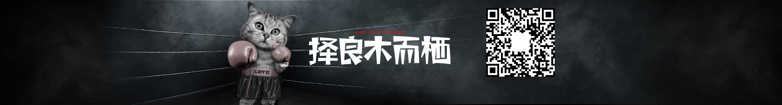 Lonely_Exiles的个人主页（封面预览） - 主页封面设置 - 站酷设计师Lonely_Exiles原创素材 - 站酷ZCOOL
