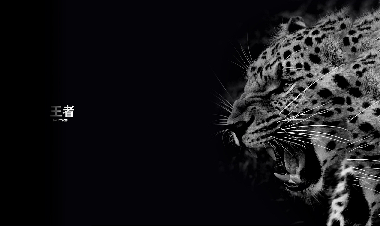 中欧华北高尔夫丨品牌形象设计（图ZMTU0NDc4ODU2） - 品牌 - 站酷设计师cui脆原创素材 - 站酷ZCOOL