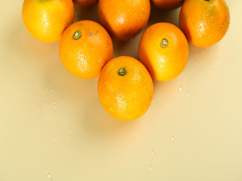 广西融安土特产|金桔