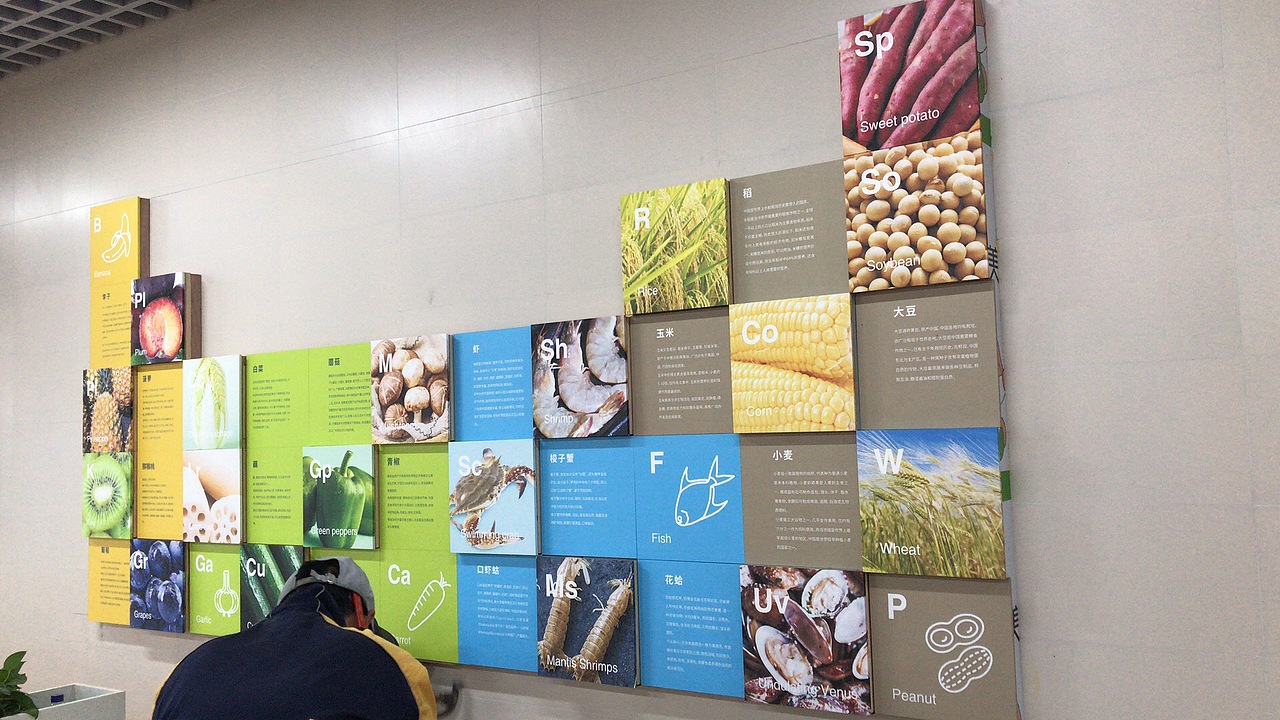 校园餐厅墙面文化（图ZMjYyOTg4MTQ0） - 其他平面 - 站酷设计师殒月原创素材 - 站酷ZCOOL