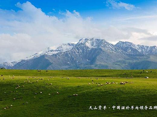 吃火锅放食材的顺序