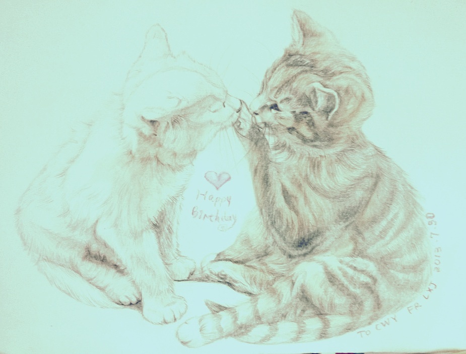 猫奴舔屏画猫习作