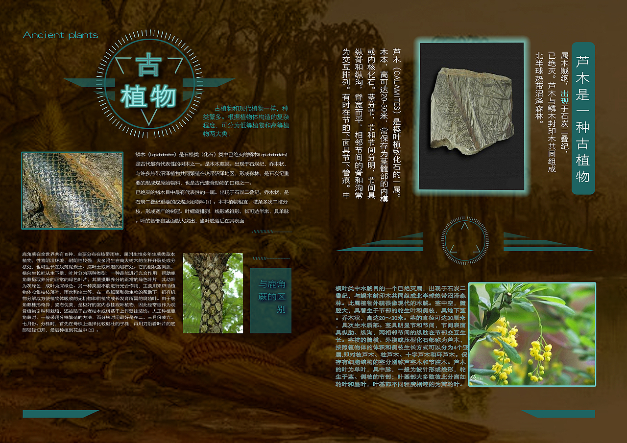 探秘古生物图书版式设计（图ZMjA3MzkyNzY4） - 书籍/画册 - 站酷设计师哈士芬奇原创素材 - 站酷ZCOOL