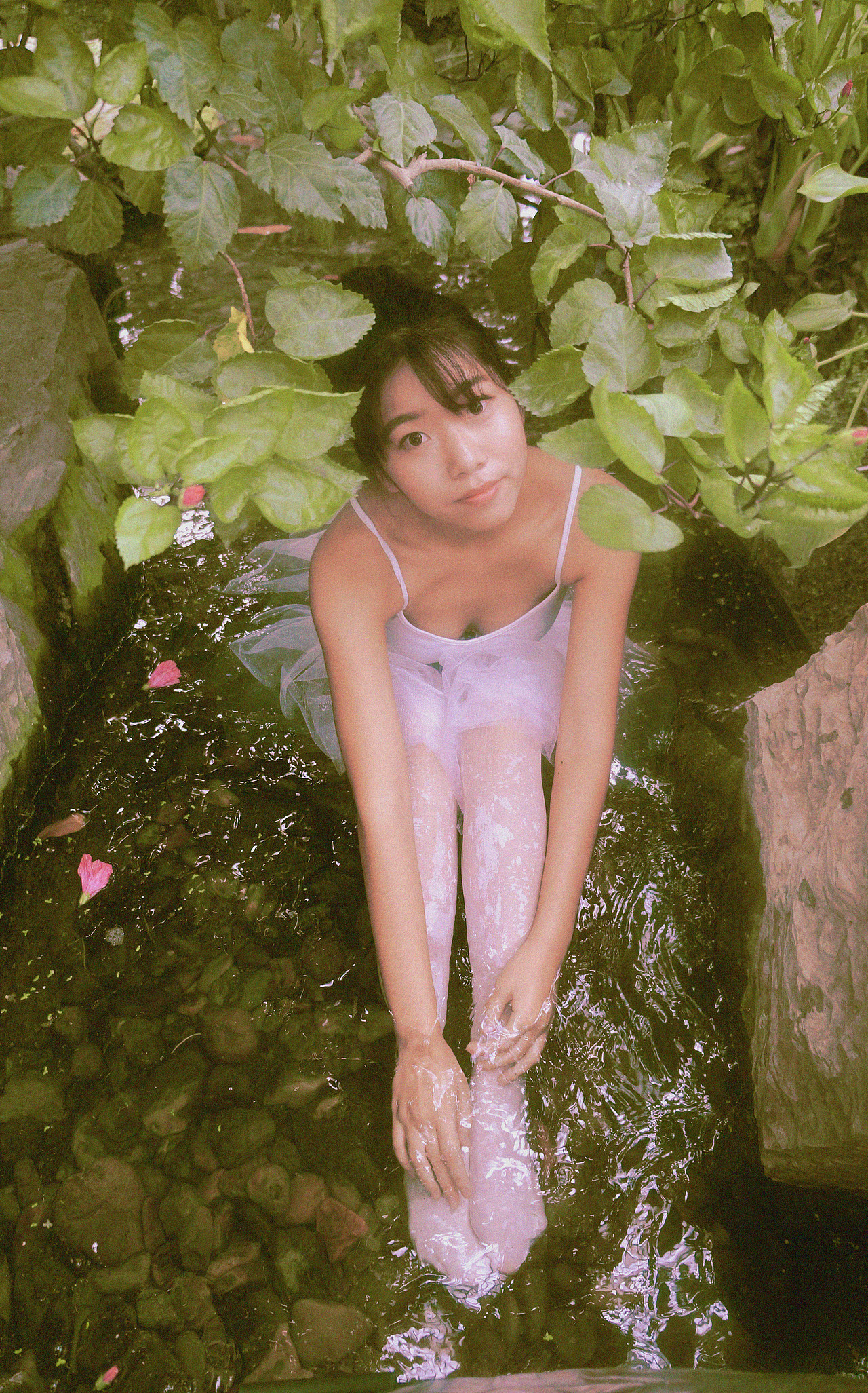 像一只天鹅，白的那么纯洁，弯着长长的颈，低头看着水面我已蜕变的样子