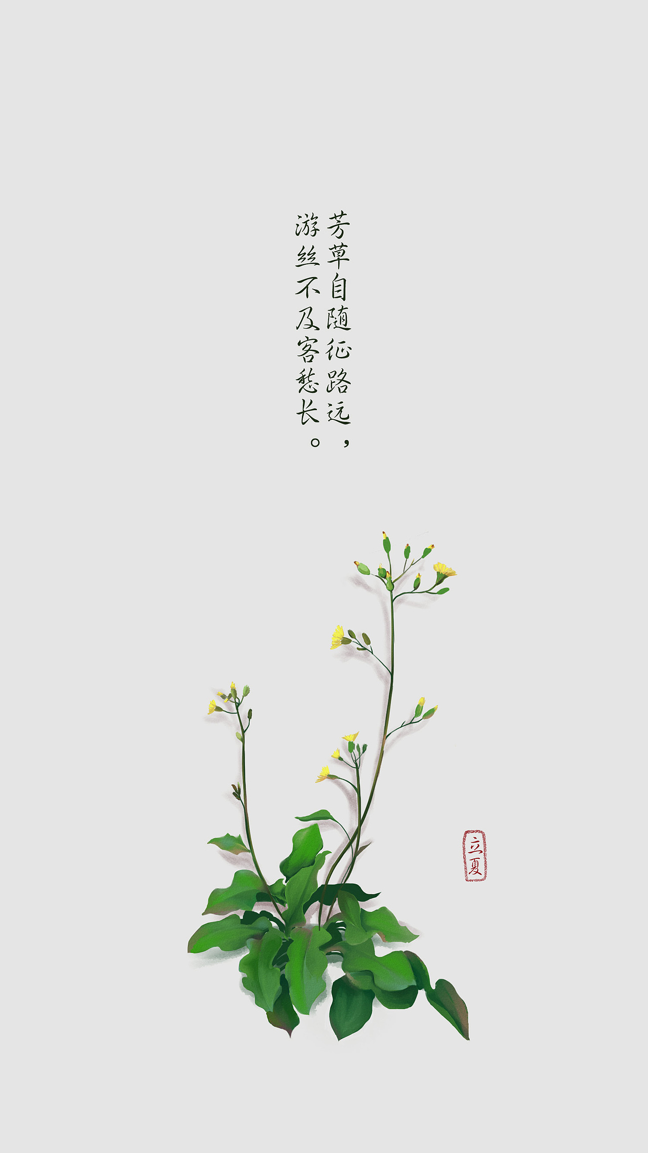 墙角的草（图ZNDgyODIzMTY=） - 创作习作 - 站酷设计师cosxexe原创素材 - 站酷ZCOOL