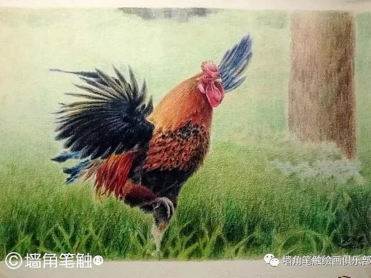 【约绘寻鹿】近一年多来画的一些个人作品