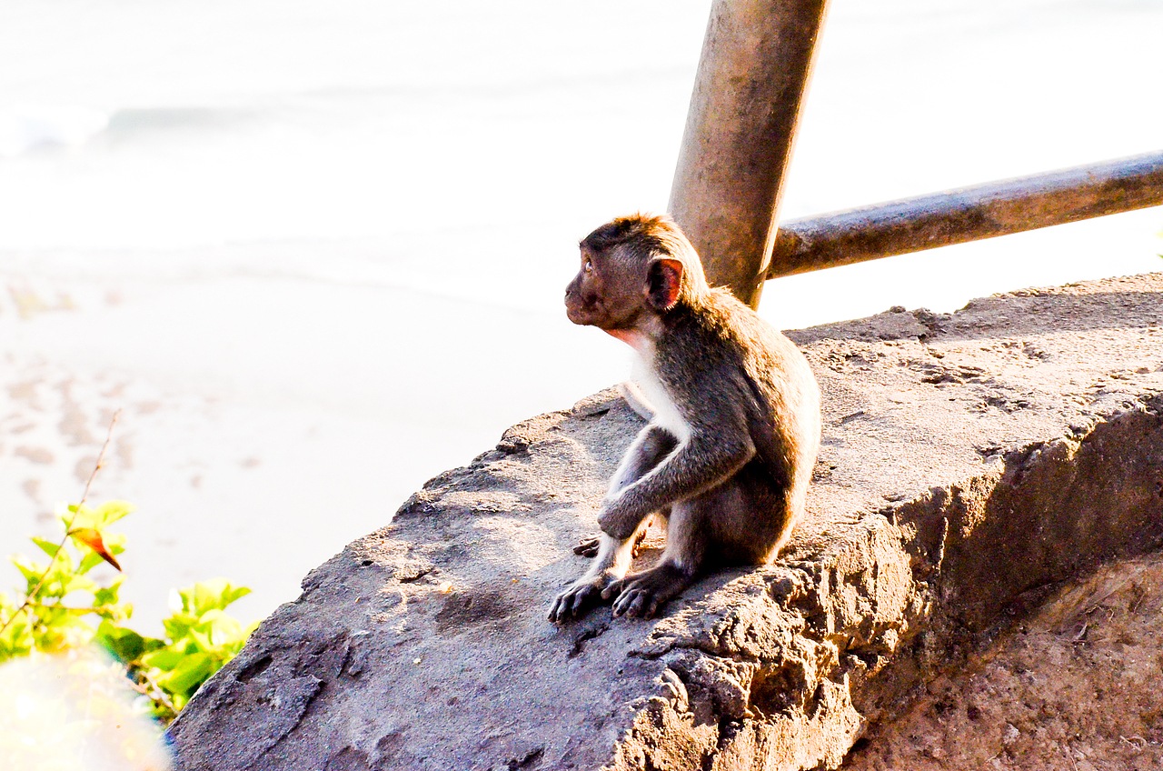 北方的姑娘 请不要再留恋南方的迷惘（图ZNTM4OTE2MjQ=） - 风光摄影 - 站酷设计师Design Sun原创素材 - 站酷ZCOOL