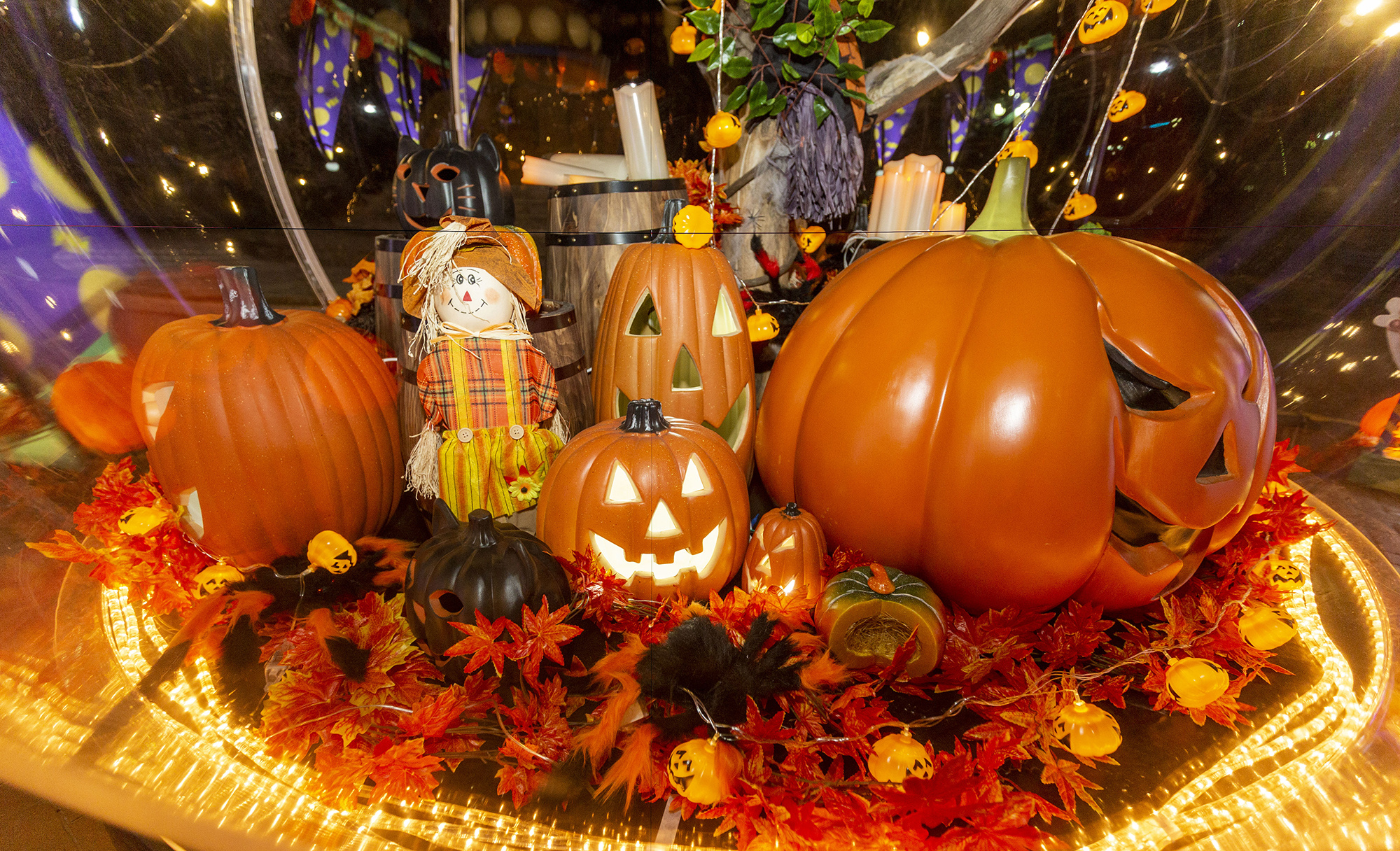 Qué Es Halloween Para Los Americanos | Urban Crawl