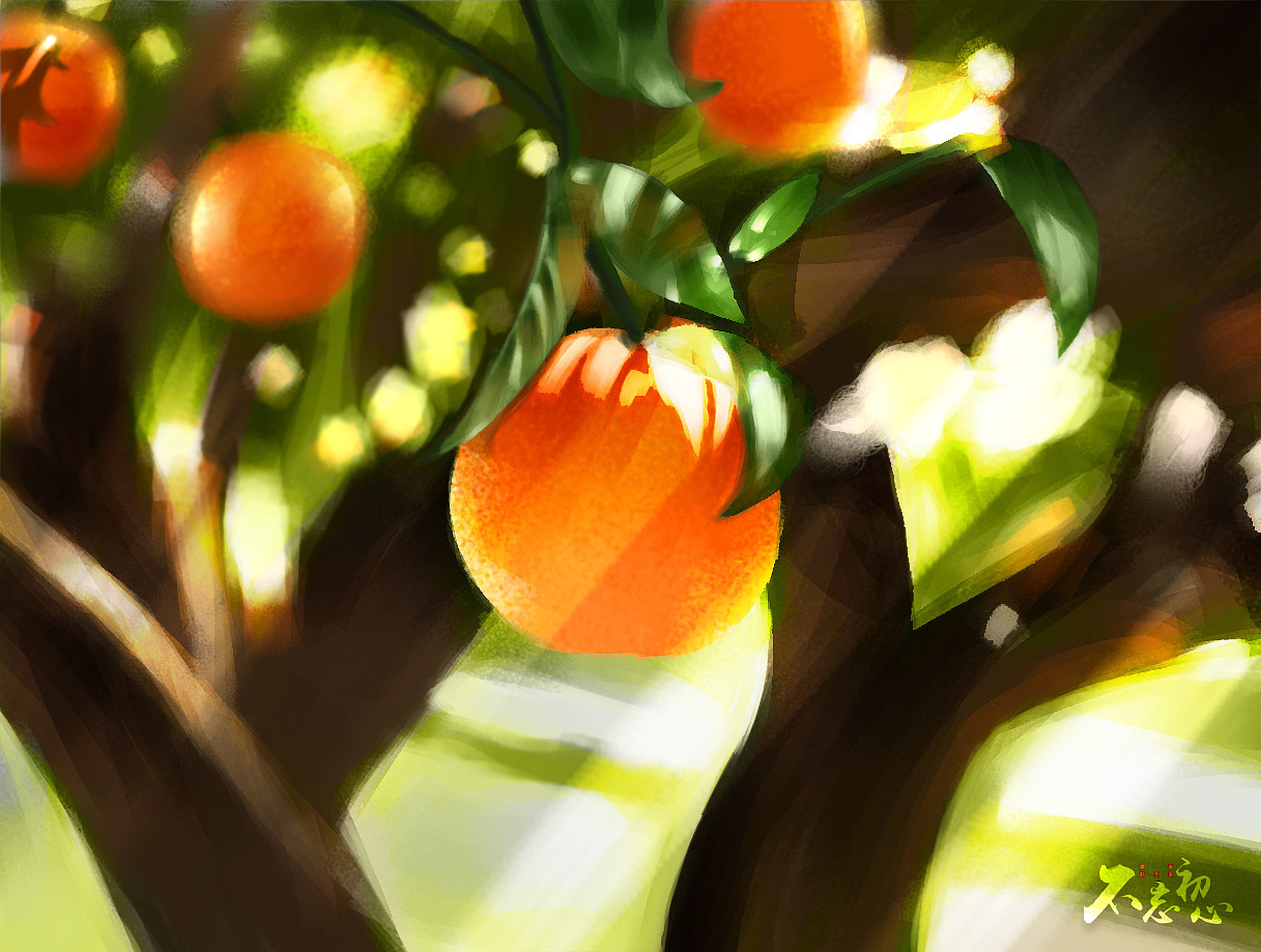 闲暇时的练习作品