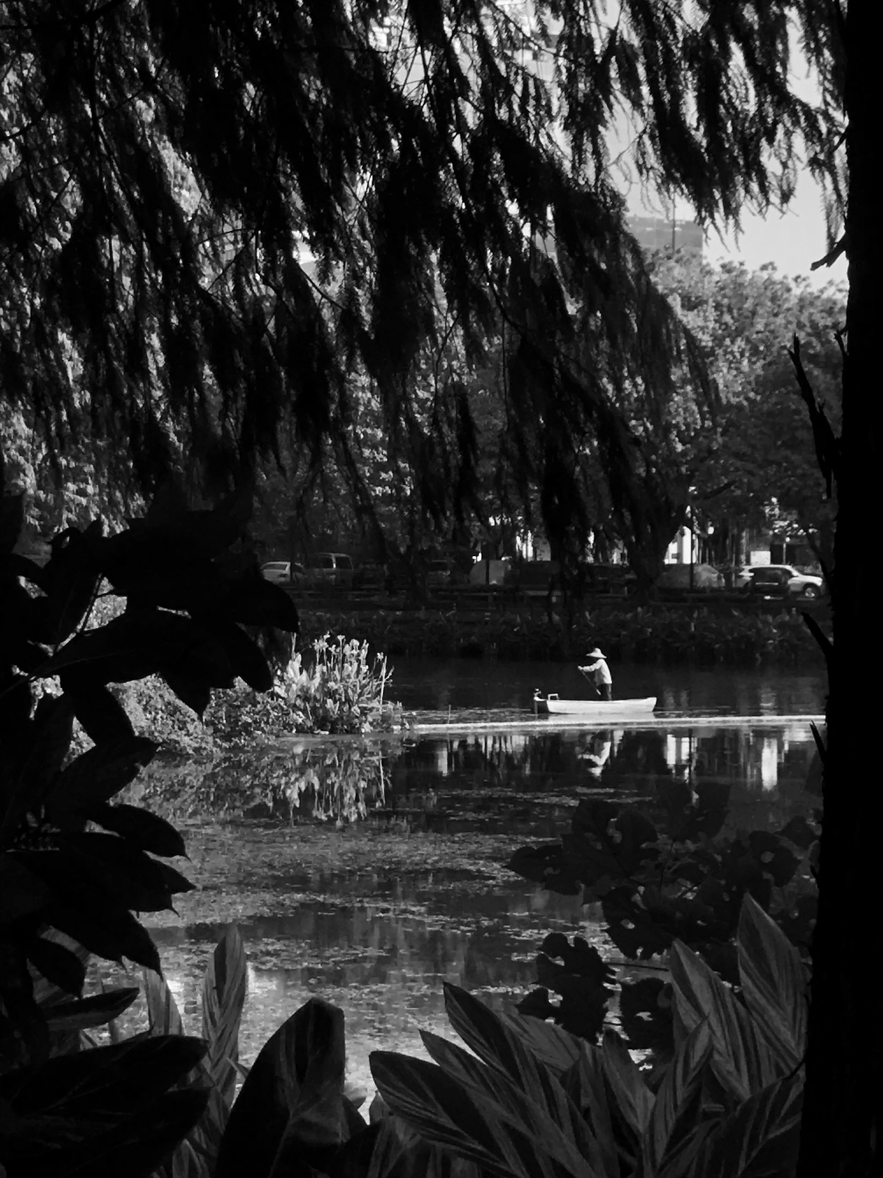 我的手机摄影随拍（图ZMjcyMTMyMjY4） - 风光摄影 - 站酷设计师新一Sun原创素材 - 站酷ZCOOL