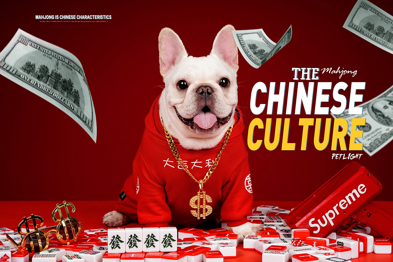 法斗摄影合集—宠爱拾光宠物摄影（图ZMjU2MDgxODI4） - 宠物摄影 - 站酷设计师petlight原创素材 - 站酷ZCOOL