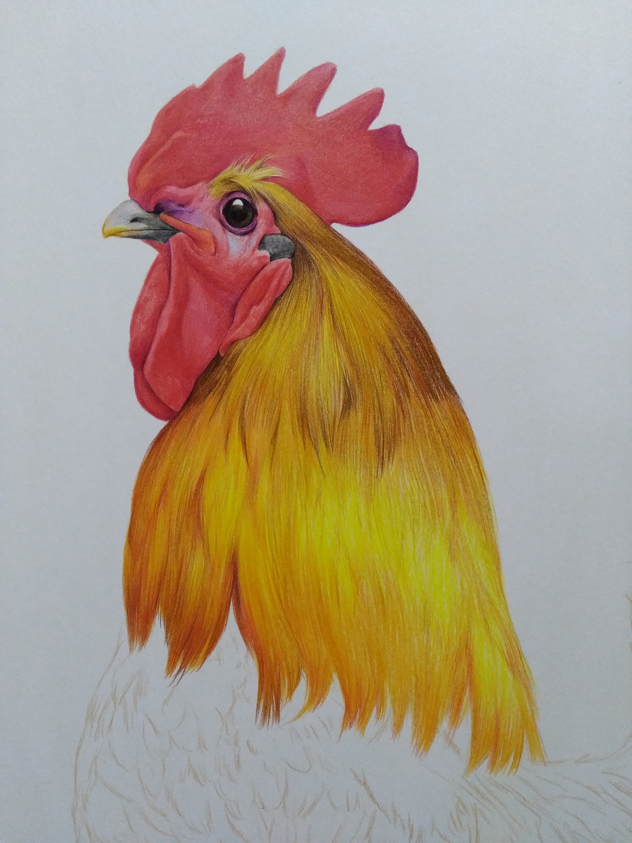 (附步骤)|纯艺术|绘画|王才毓_原创作品-站酷zcool