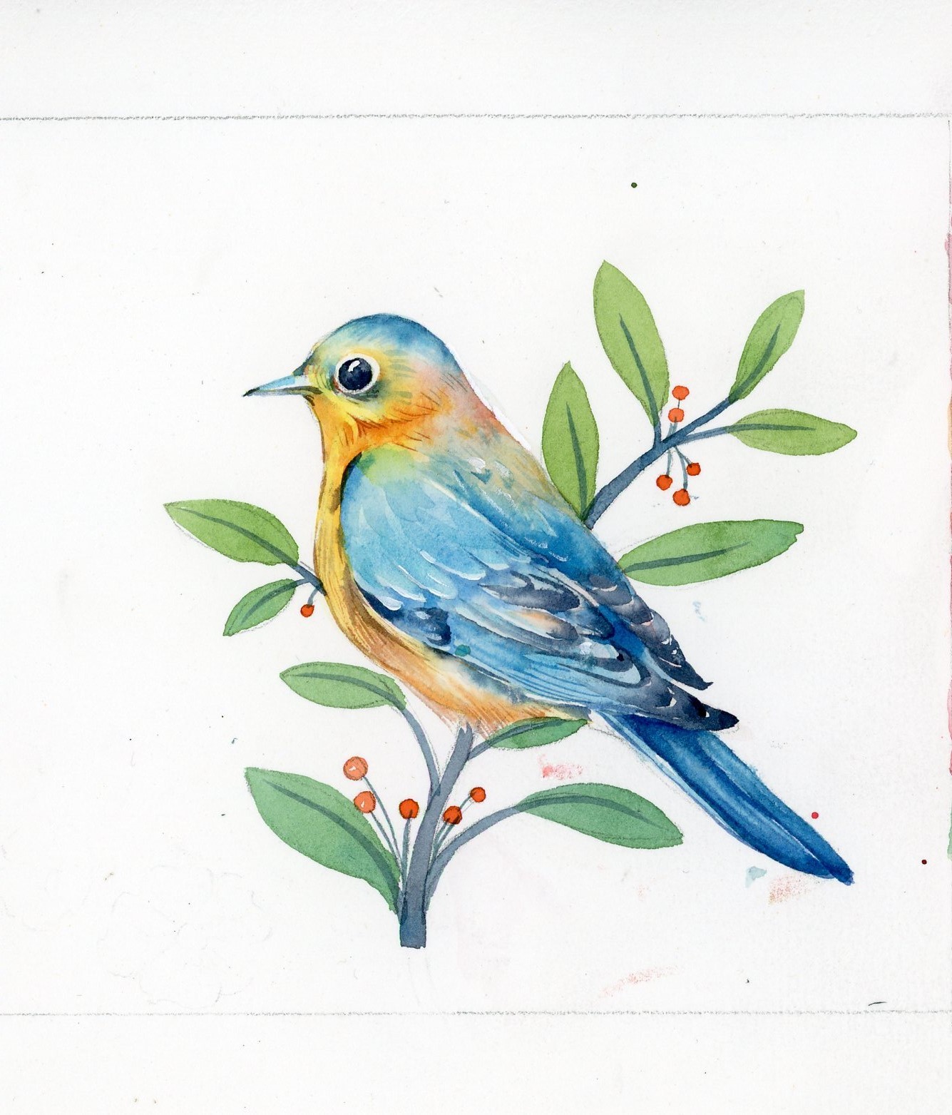 花儿与小鸟|插画|商业插画|蹦蹦蹦砰 - 原创作品 - 站酷 (zcool)