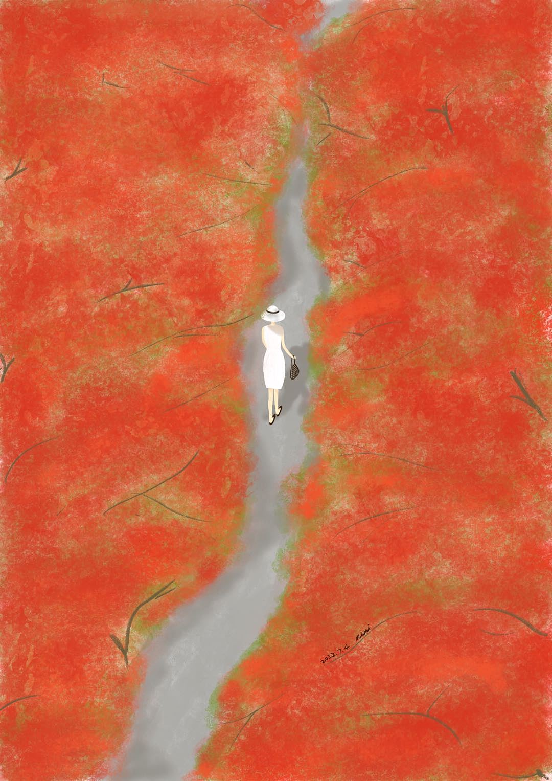 凤凰花开的季节