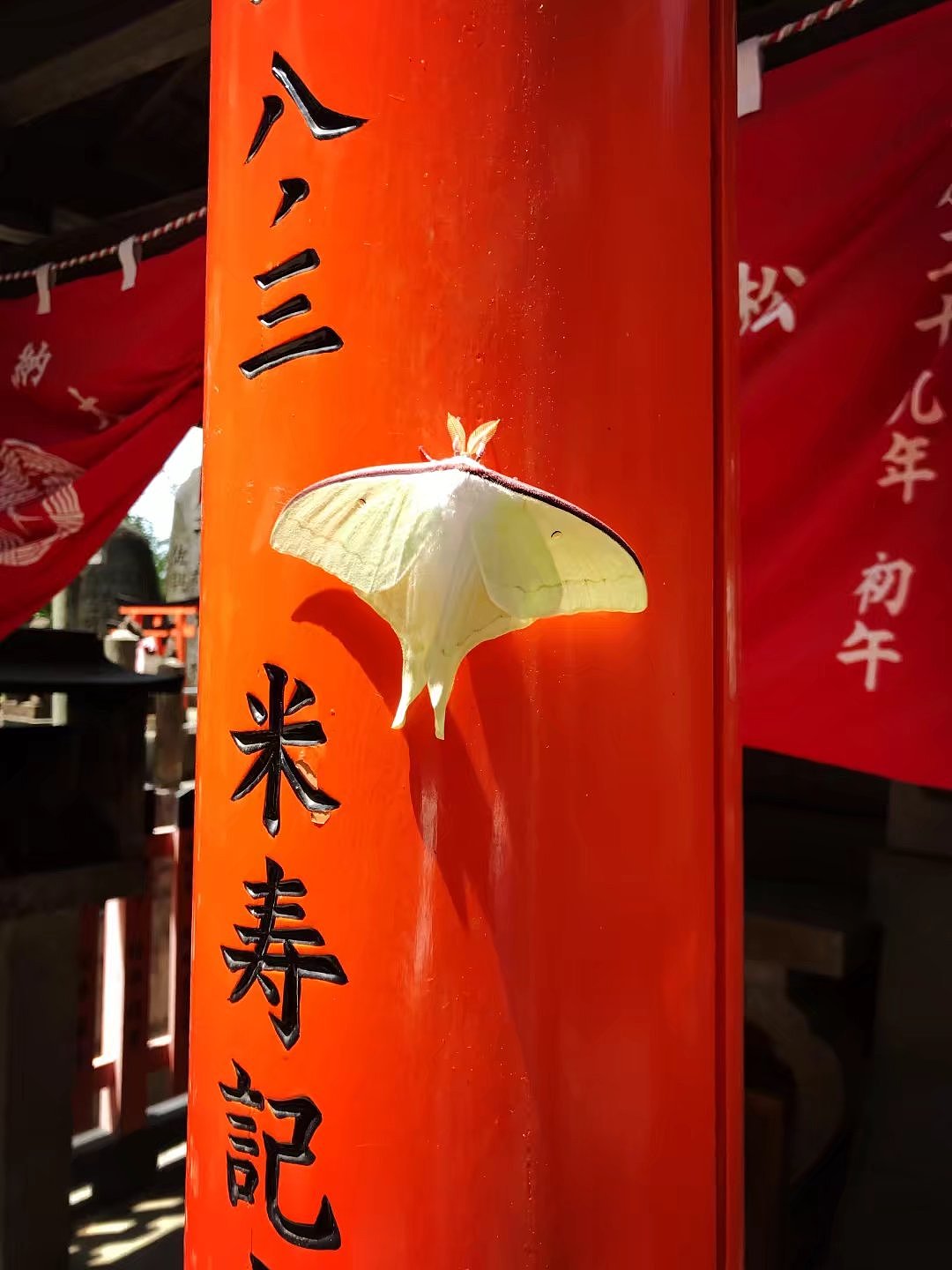 日本京都一周游