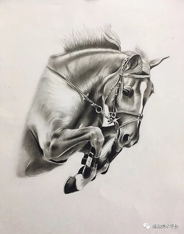 骏马揭阳|插画师通裕美术0|0|69原创作品/纯艺术/绘画