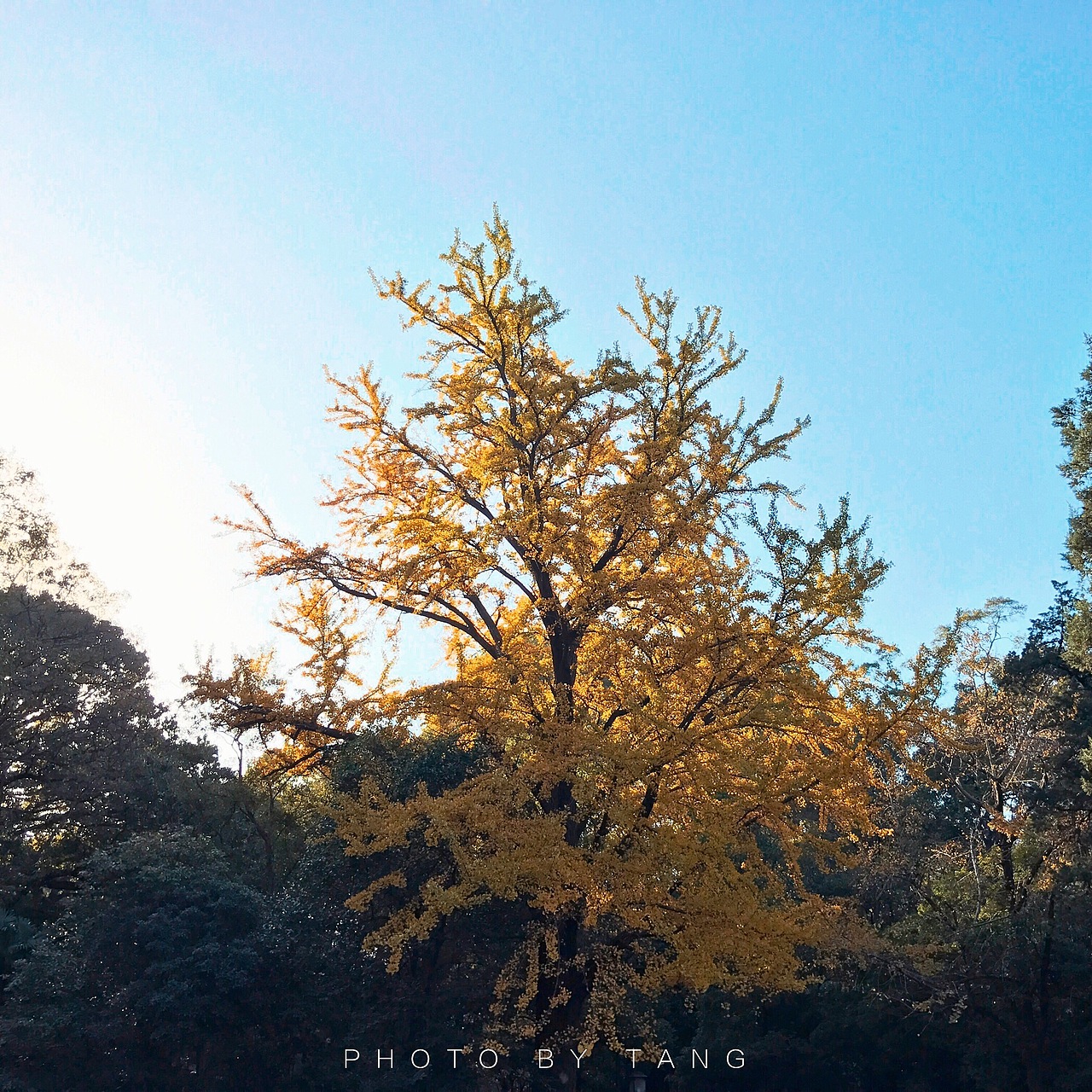 iPhone7plus 风景照片拍摄记录（图ZNjM1ODA1NDA=） - 风光摄影 - 站酷设计师twstc原创素材 - 站酷ZCOOL