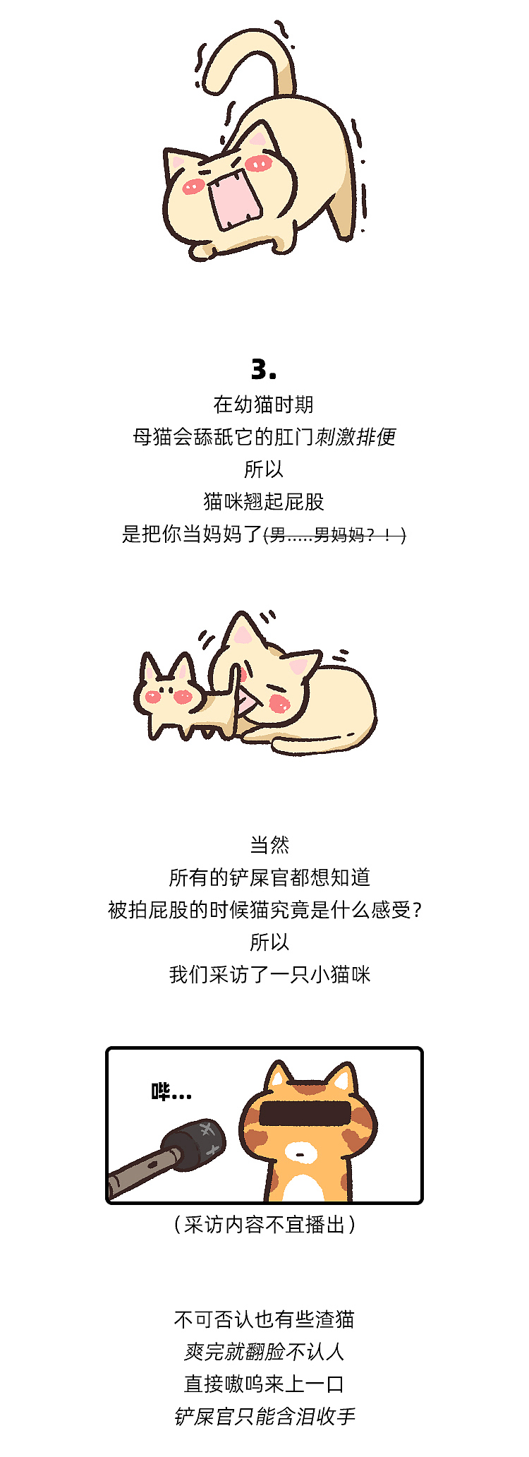 猫来了小课堂-被拍屁股的爱好