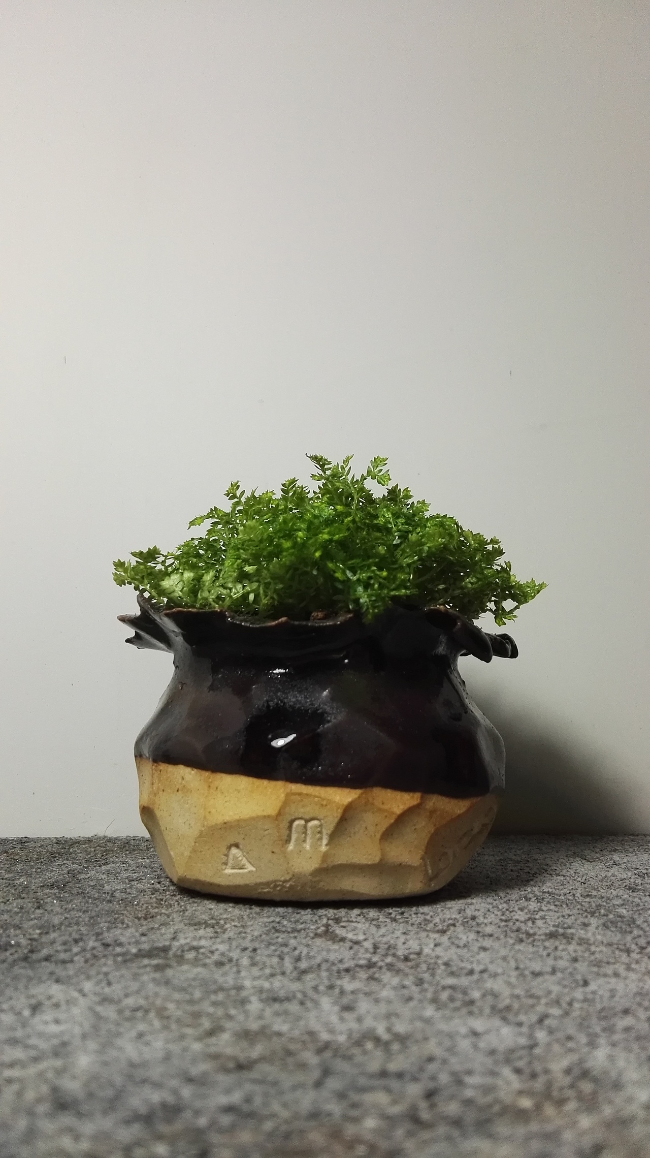 手作陶瓷多肉花盆（图ZNTUxNzg2MDA=） - 其他平面 - 站酷设计师Daan安原创素材 - 站酷ZCOOL