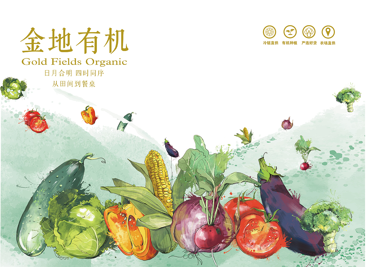 蔬菜包装礼盒（图ZMjc5NTc0MzIw） - 包装 - 站酷设计师来瓶凉茶原创素材 - 站酷ZCOOL