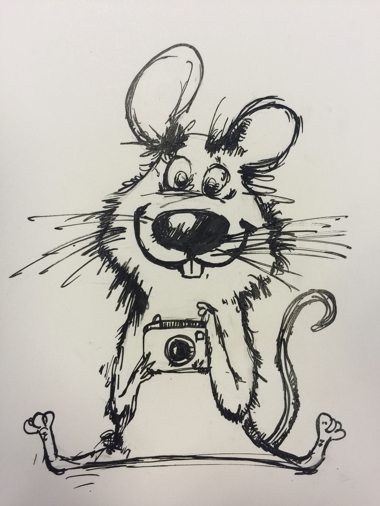 以老鼠为主题的装饰画图片