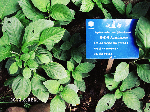 彩云之南（图ZNTQwMTQwNjA=） - 风光摄影 - 站酷设计师無邉原创素材 - 站酷ZCOOL