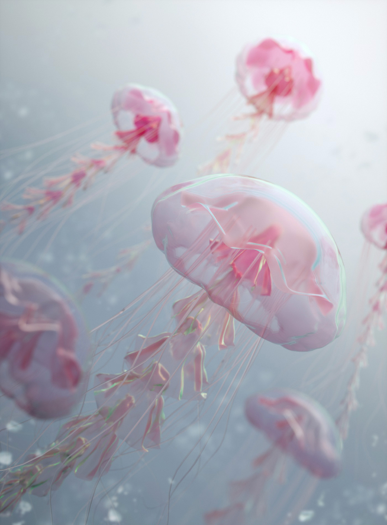 水母上升（图ZMjE0NTU0ODc2） - 人物/生物 - 站酷设计师crcrcrcrc原创素材 - 站酷ZCOOL