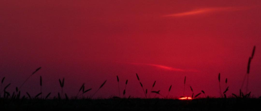 咸鱼美人的个人主页（封面预览） - 主页封面设置 - 站酷设计师咸鱼美人原创素材 - 站酷ZCOOL