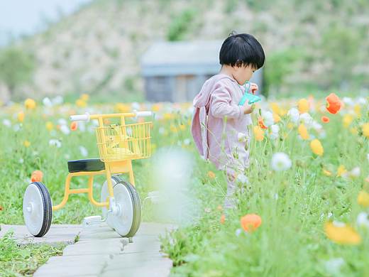 时间都去哪儿了—— 一岁十一个月《春暖花开》
