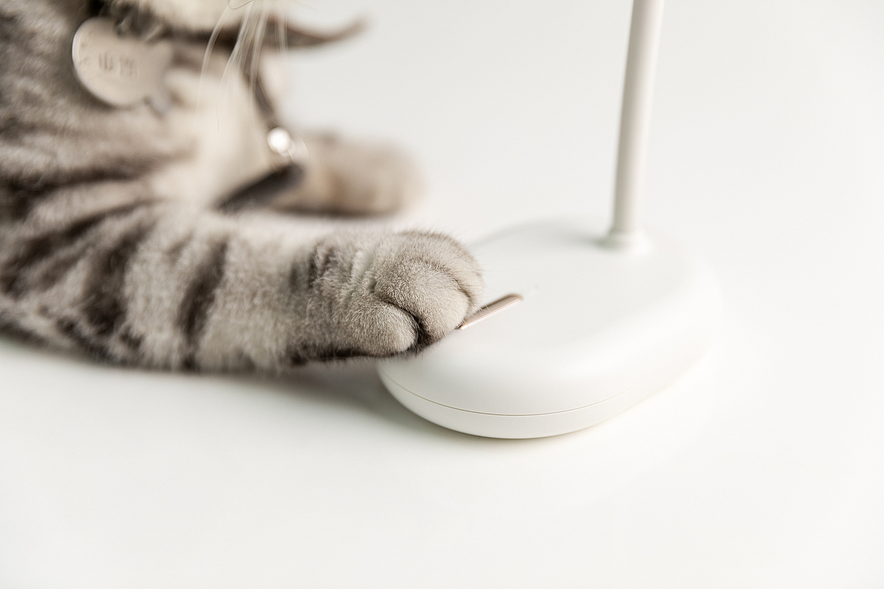 品牌案例丨3life 叁活 猫咪台灯(含橱窗视频)