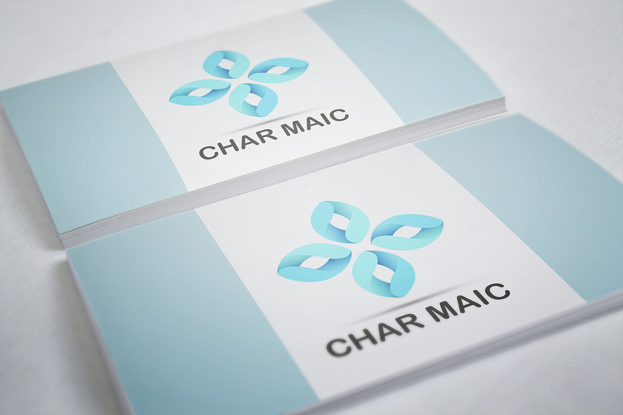 Char Maic百货商品公司LOGO设计（图ZNTgyNjI5MzI=） - Logo - 站酷设计师榴莲炒大肠原创素材 - 站酷ZCOOL