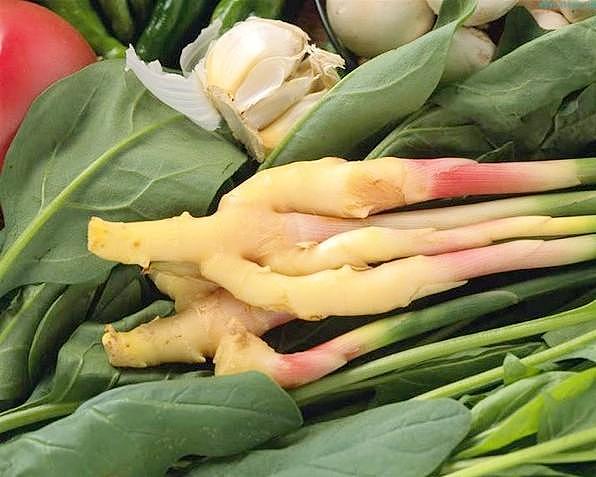 梦回大唐"文创贵妃香姜"系列产品及包装设计