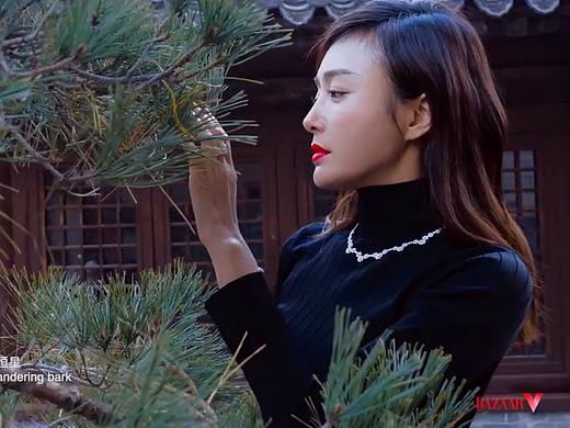 芭莎珠宝x秦岚 封面视频大片