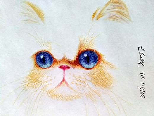 尝试圆珠笔画猫（个人主页-ZMjU4OTA3OTY=） - 绘画 - 站酷设计师cat8080原创素材 - 站酷ZCOOL