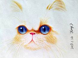 嘗試圓珠筆畫貓