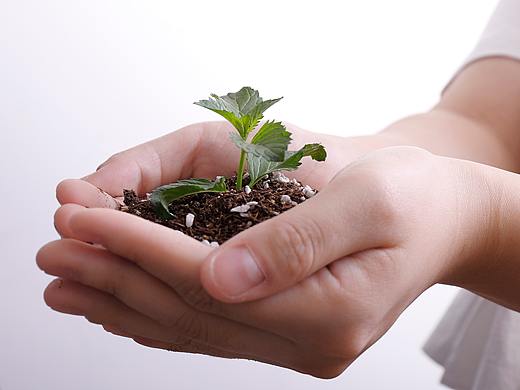 園藝營養(yǎng)土壤（個人主頁-ZNTEwNDIwMzI=） - 短片 - 站酷設(shè)計師圓角鄭方形原創(chuàng)素材 - 站酷ZCOOL