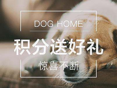 app界面banner（个人主页-ZMjY1MDcxNTY=） - APP界面 - 站酷设计师之之W原创素材 - 站酷ZCOOL