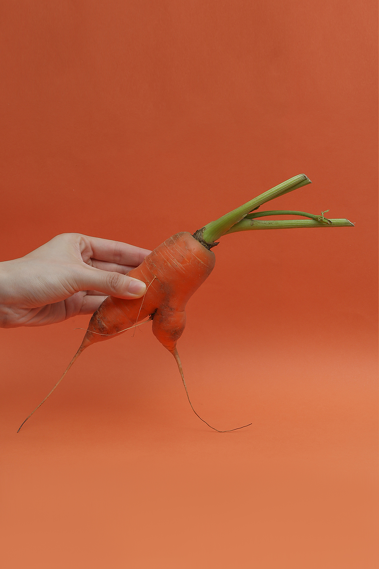 萝卜大作战（图ZMjMyNzc3Mjgw） - 产品摄影 - 站酷设计师Foood原创素材 - 站酷ZCOOL