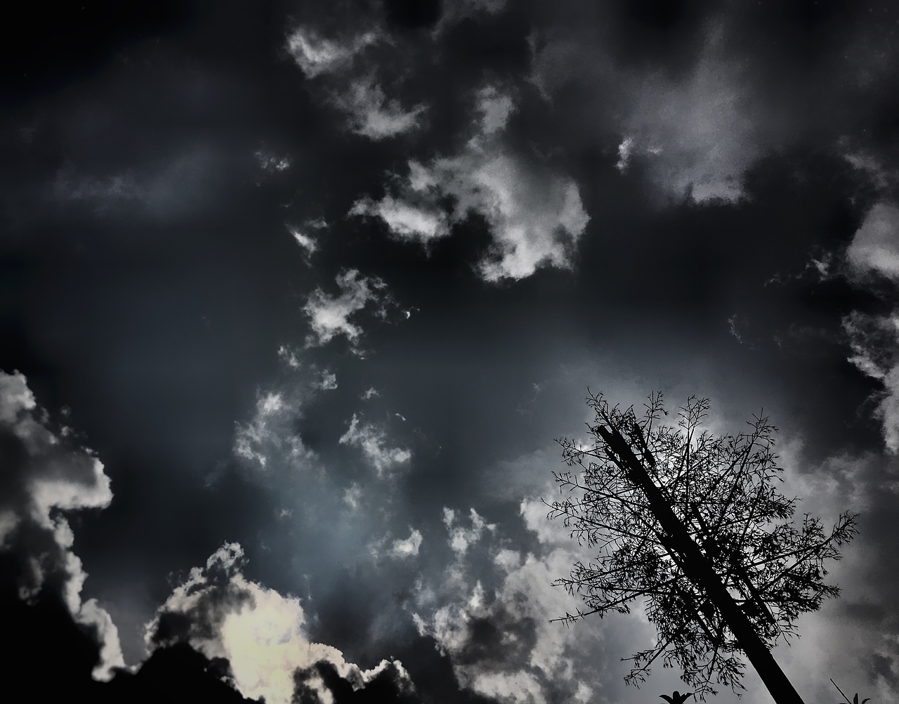 iphone6s 摄影（图ZNzQ2NzA0NzY=） - 风光摄影 - 站酷设计师神奇芋头原创素材 - 站酷ZCOOL