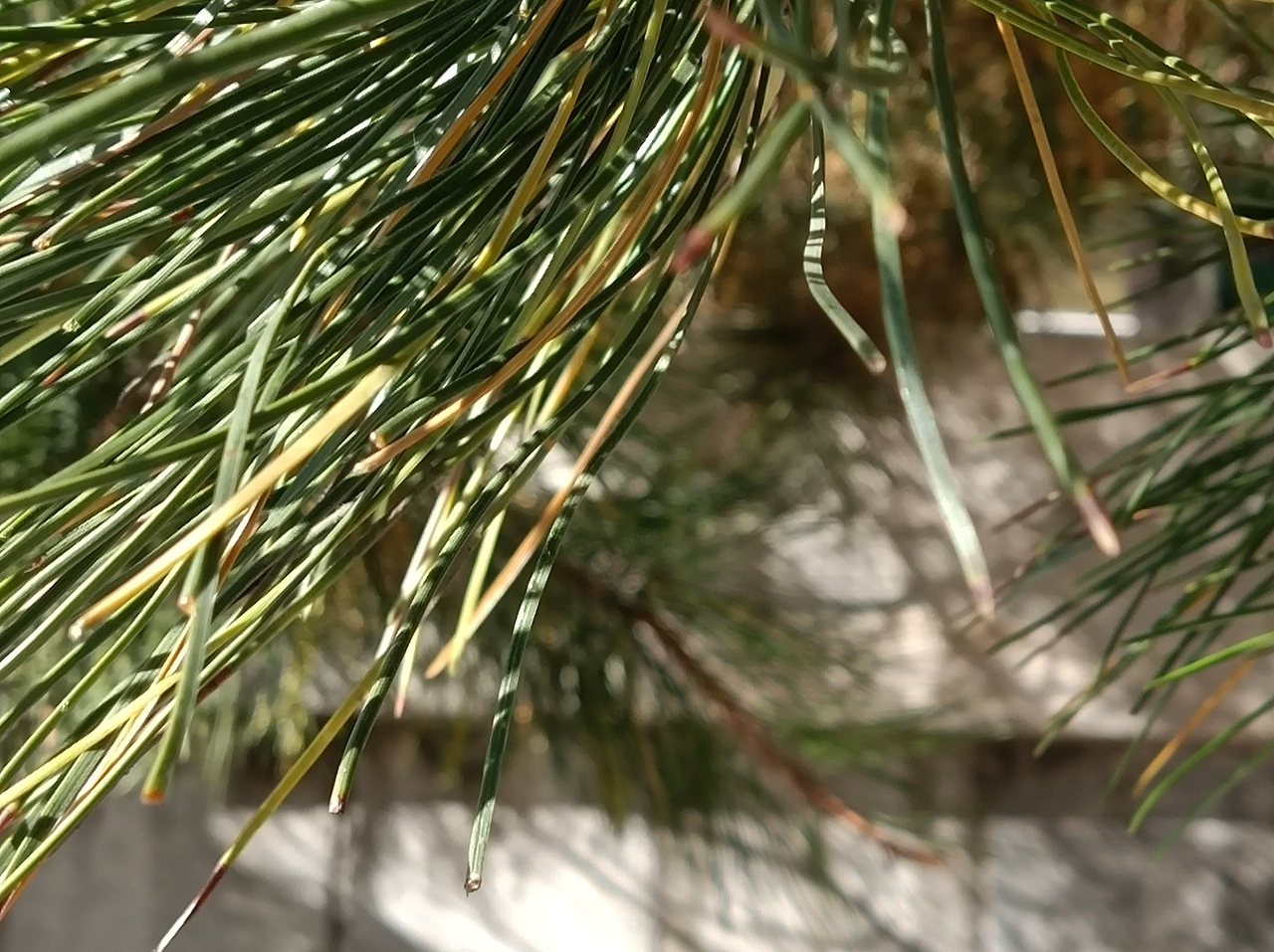 [ Say goodbye 2020 ] 