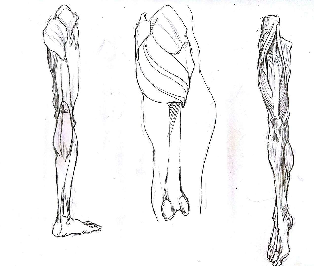 人体练习第二弹。