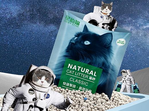 猫砂详情-宠物类目(天猫)