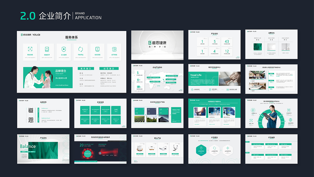 企业视觉更新2.0(品牌色 企业简介PPT VI应用部分)