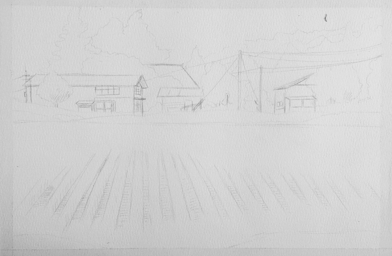 水彩风景 Dream水彩 稻田