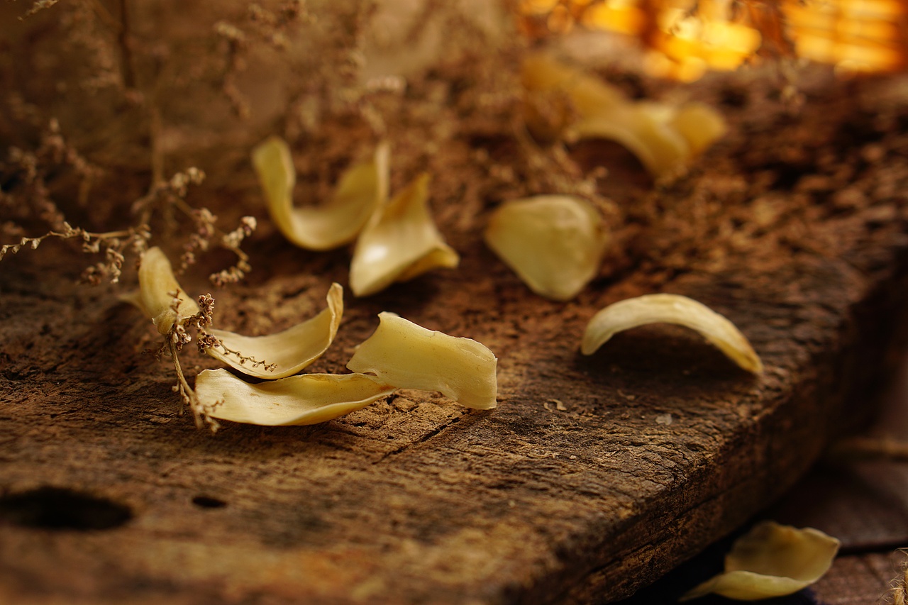 龙牙百合（图ZMTEwNjIxNDk2） - 产品摄影 - 站酷设计师BensonLI原创素材 - 站酷ZCOOL